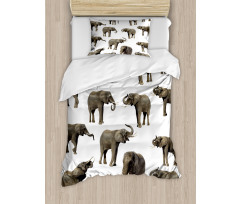 Elephants Tusk Ear Duvet Cover Set