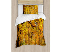 Fall Pale Maple Trees Duvet Cover Set