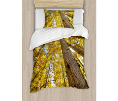 Aspen Trees in Forest Duvet Cover Set