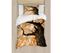 Old Tree Botany Wood Duvet Cover Set