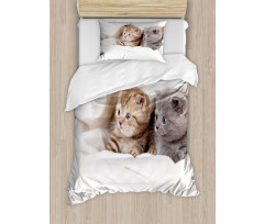 Scottish Fold Kittens Duvet Cover Set