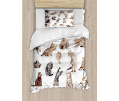 Funny Playful Cats Image Duvet Cover Set