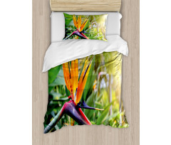 Bird of Paradise Flower Duvet Cover Set