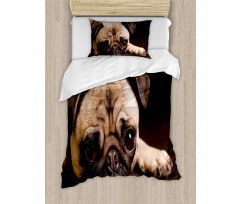 Puppy Photograph Animals Duvet Cover Set