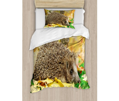 Little Hedgehog Duvet Cover Set
