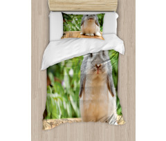 Photo of Holland Lop Rabbit Duvet Cover Set