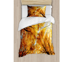 Autumn Sunbeams Forest Duvet Cover Set