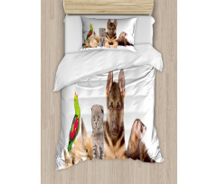 Bunnies Cat Dog and Ferret Duvet Cover Set