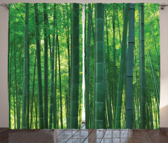 Ağaçlar Perde Uzun Bitkiler Bambu Ormanı Temalı