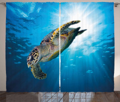 Sualtı Yaşam Perde Yüzücü Su Kaplumbağası