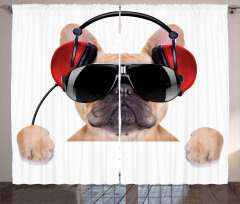 Müzik Perde Güneş Gözlüklü Köpek