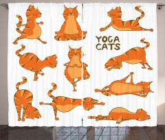 Komik Perde Yoga Yapan Kediler Desenli