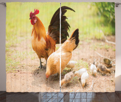 Chicken Family Photo Curtain