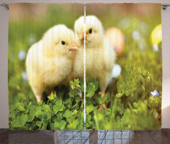 Baby Chickens Photo Curtain