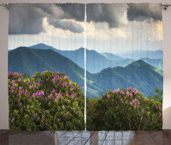 Mountain Peaks Azalea Curtain