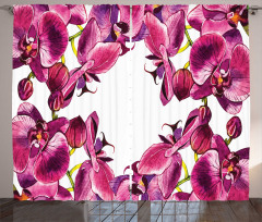 Fresh Spring Orchids Art Curtain