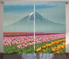 Colorful Japanese Tulips Field Curtain