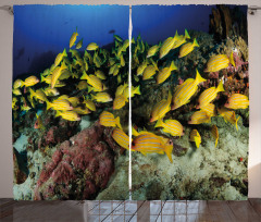 Tropical Fish Coral Reef Curtain