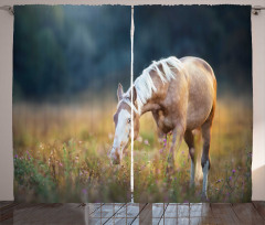 Palomino Horse Grazing Curtain