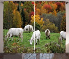 Cows on Autumn Hill Curtain