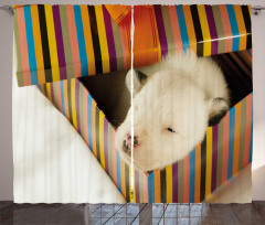 Newborn Dog in Gift Box Photo Curtain