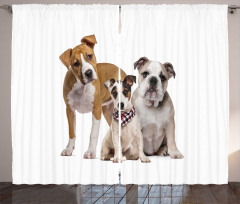 Funny Various Breeds of Dogs Curtain