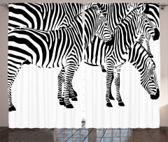 Wild Zebras Curtain