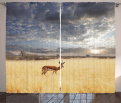 Antelope in Tranquil Nature Curtain