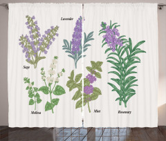 Botanical Infographic Plants Curtain