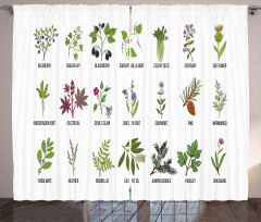 Natural Treatment Infographic Curtain