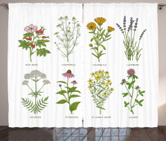 Natural Cosmetics Flowers Curtain