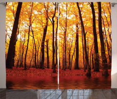 Autumn Forest Trees Curtain