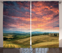 Tuscany Cypress Trees Curtain