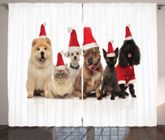 Team of Pets Panting Curtain