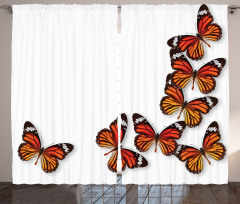 Spring Monarch Bug Curtain