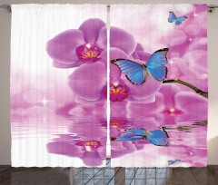 Orchid Bloom on Water Curtain