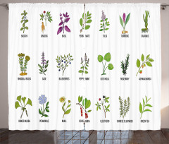 Educational Herbs Design Curtain