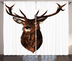 Stuffed Animal Head Curtain