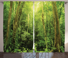 Rainforest Landscape Curtain