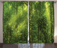 Sun Beams Tropic Forest Curtain