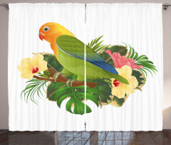 Exotic Agapornis Parrot Curtain