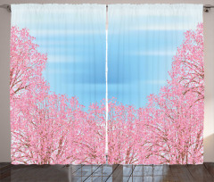 Pinkish Blossom Trees Curtain