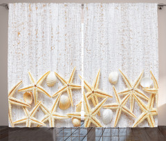 Sea Shells on Timber Curtain