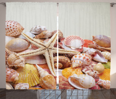 Pile of Seashells Beach Curtain
