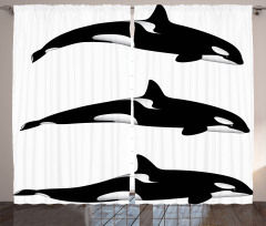 Orca Killer Whales Curtain