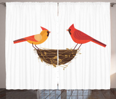 Red Cardinals Couple Nest Curtain