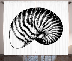 Vintage Sea Shell Curtain