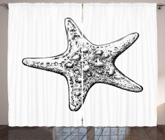 Starfish Sketch Curtain