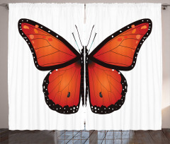 Big Monarch Breed Moth Curtain