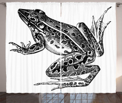 Dotted Exotic Amphibian Breed Curtain